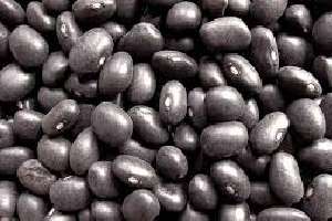 Alubias Negras, un alimento ideal para Cuidar la Salud del Colon